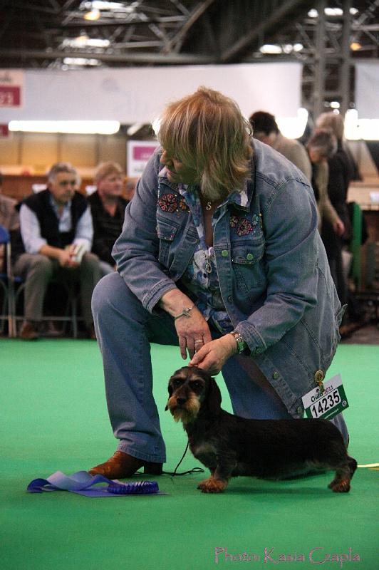 Crufts2011_2 1573.jpg